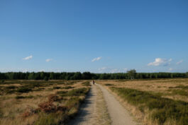 brandenburg odyssee