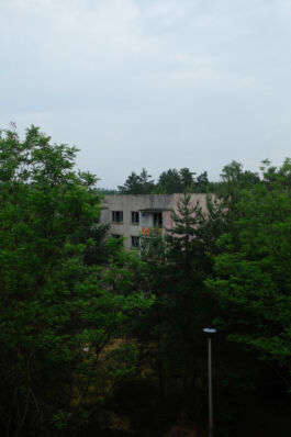 brandenburg odyssee