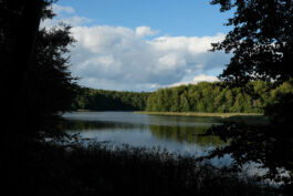brandenburg odyssee